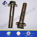 Ts16949 Flange Bolt with Blue Zinc Plated 8.8